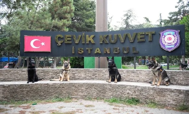 Emniyet'in Gizli Gücü Asayiş Köpekleri