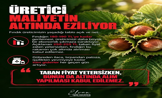 FINDIKTA FİYAT ÇÖKÜŞÜ, ÜRETİCİNİN BİTİŞİDİR!