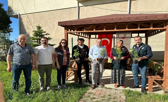 Maviyemiş Yetiştiriciliği Destekleniyor