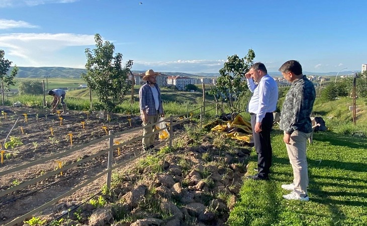Ata Tohumları Ata Bahçesinde Toprakla Buluştu