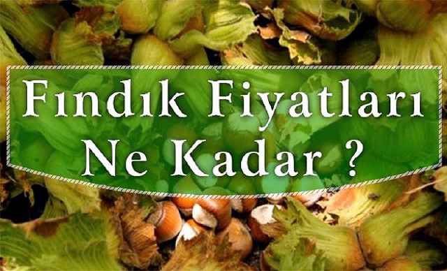 FINDIK FİYATI