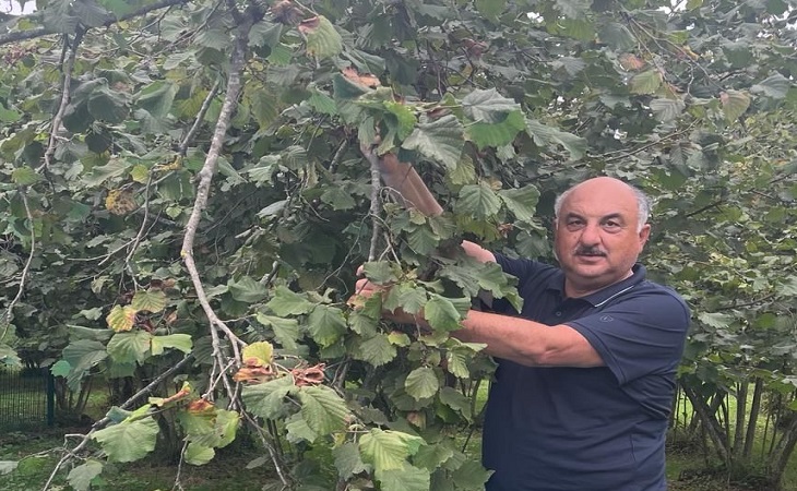 FINDIK FİYATI EN AZ 110 TL OLMALIDIR
