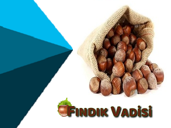 fındık vadisi